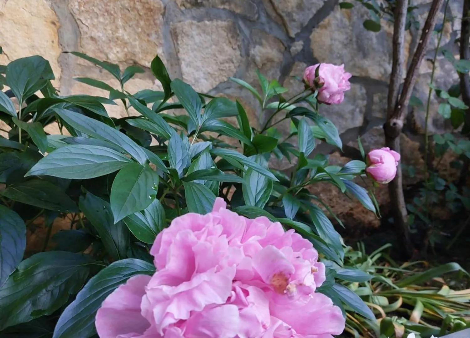 Bed and Breakfast Da Noi Due Bergamo Italien